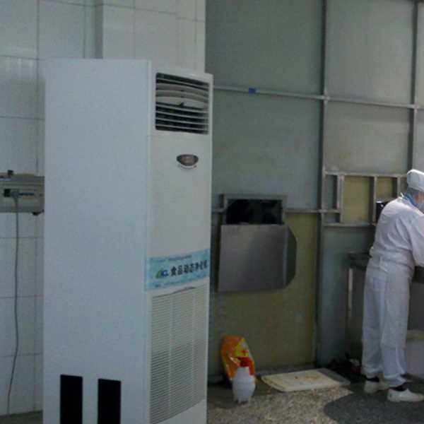 宁波食品正负离子空气杀菌器